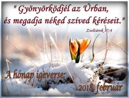 2018 - február hónap igeverse